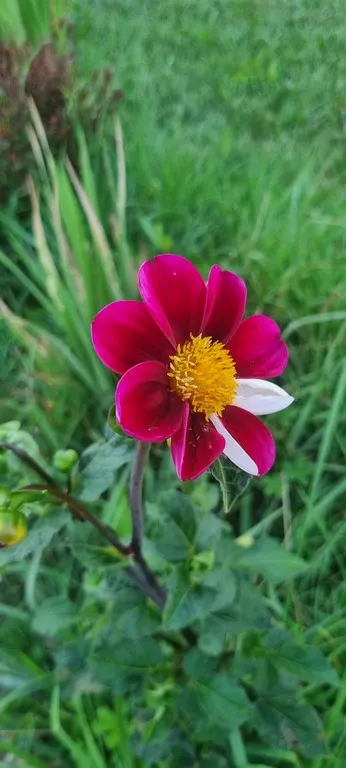 Activités chez Grand Ours Chaman