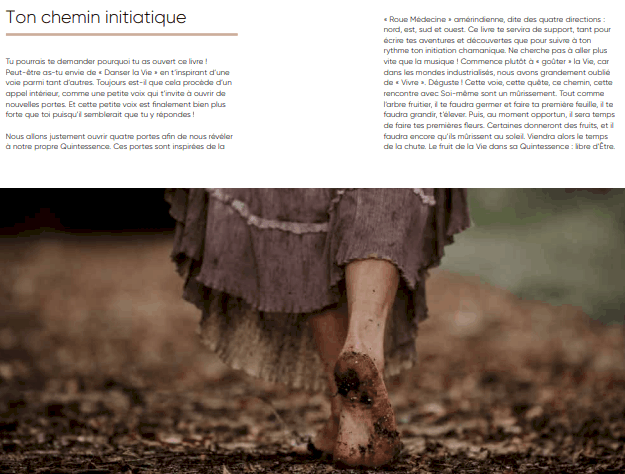 Livre le voyage chamanique grand ours