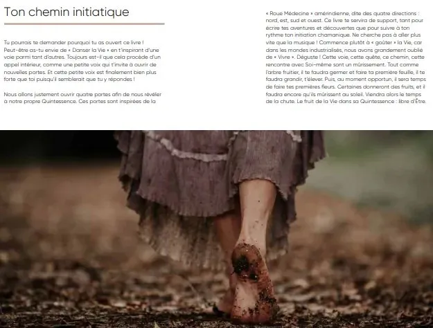 Livre le voyage chamanique grand ours