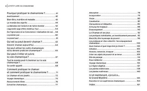 le petit livre du chamanisme grand ours