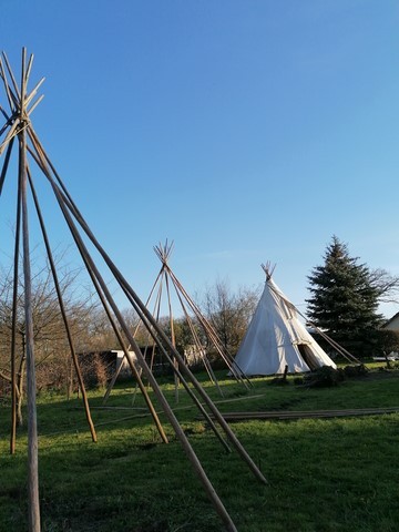 Montage des tipis chez grand ours chaman