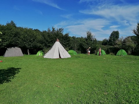 activité chamanique avec grand ours chaman