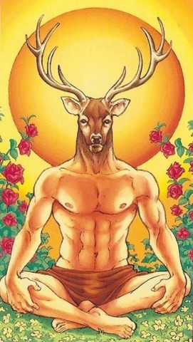 cerf animal totem cernunnos