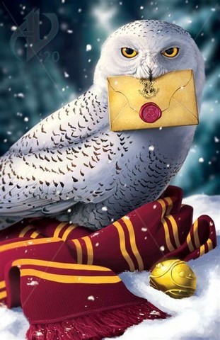 Chouette ou Hibou Animal Totem