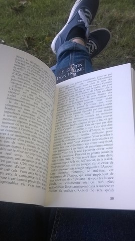 Livre chamanique grand ours chaman