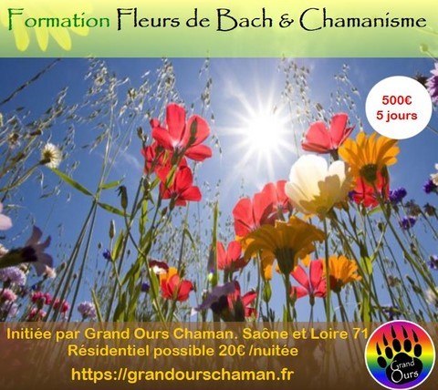 formation fleurs de bach formation fleurs de Bach et chamanisme