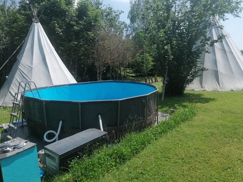 grand ours chaman Cluny
