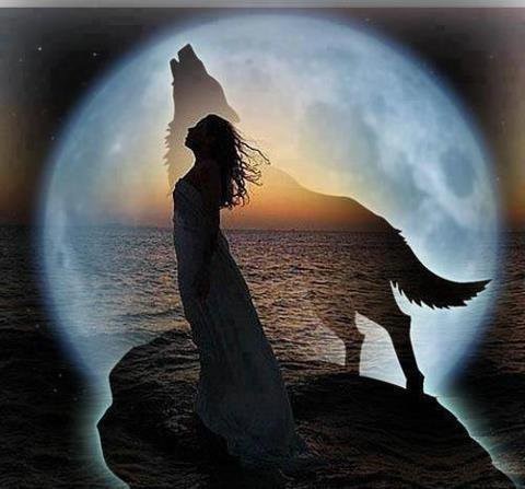 loup animal totem