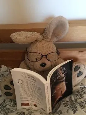 Livre chamanique grand ours chaman