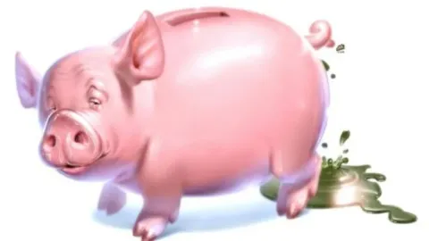 cochon porc animal totem