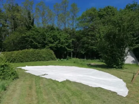 Activités chez Grand Ours Chaman