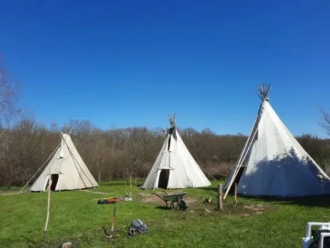 Montage des tipis chez grand ours chaman