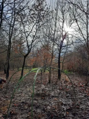 Construction hutte de sudation grand ours chaman