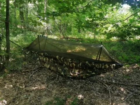 activité chamanique avec grand ours chaman