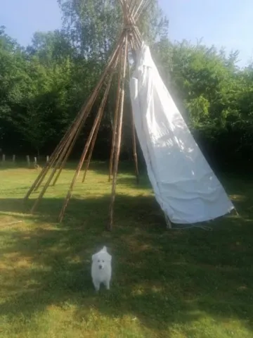 Activités chez Grand Ours Chaman