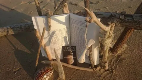 Livre chamanique grand ours chaman