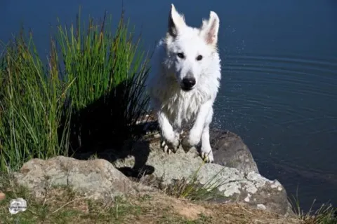 Activités chez Grand Ours Chaman