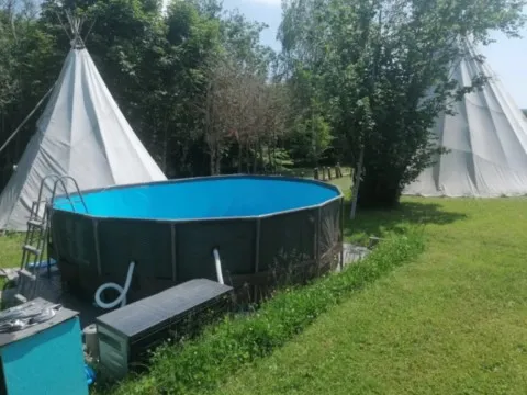 grand ours chaman Cluny