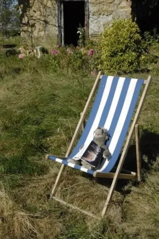 Livre chamanique grand ours chaman