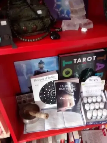 Livre chamanique grand ours chaman