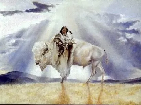 bison blanc animal totem