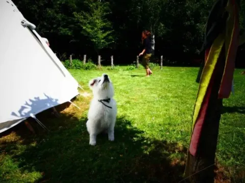 Activités chez Grand Ours Chaman