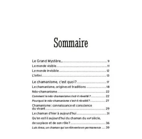 Rite de Passage Chamanique Sommaire Le Petit livre du chamanisme grand ours