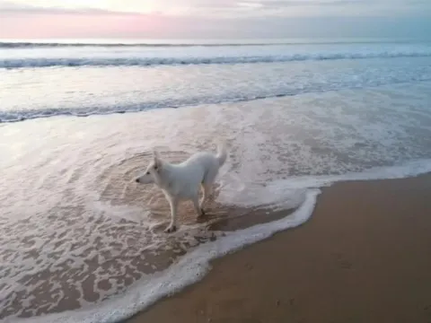 Activités chez Grand Ours Chaman
