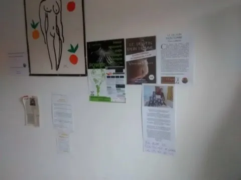 Livre chamanique grand ours chaman