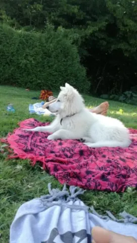 Activités chez Grand Ours Chaman