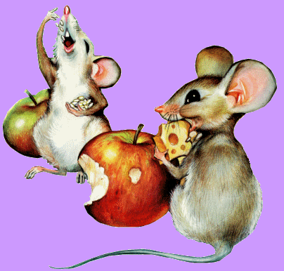 souris animal totem